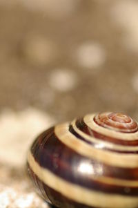 Close-up of coffee cup on table