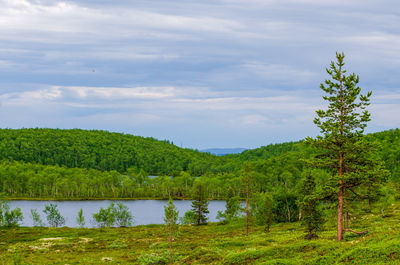 Scenic view of lake against sky