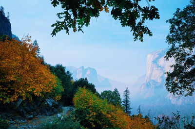 Scenic view of forest against sky during autumn