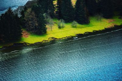 Scenic view of river amidst trees during autumn