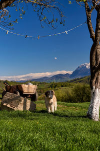 I am ready to defend my home.