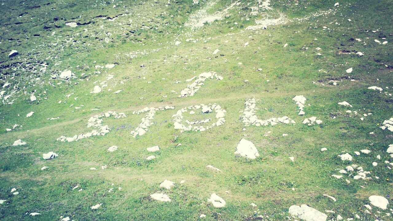 high angle view, text, communication, day, art, human representation, art and craft, creativity, western script, no people, outdoors, nature, field, textured, white color, guidance, asphalt, sign, tranquility, grass