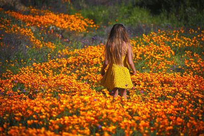 Rear view of girl standing amidst flowers on field