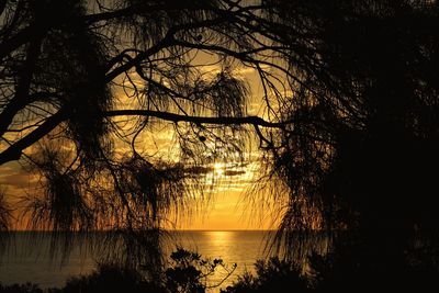 Silhouette trees by lake against sky during sunset