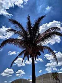 Low angle view of palm tree against sky