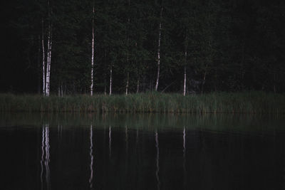 Scenic view of lake against sky at night