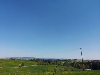 Scenic view of field against clear blue sky
