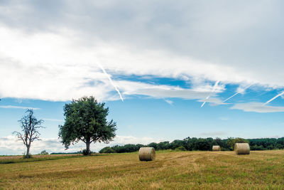 Hay bales on field against sky