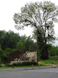 View of trees in park against clear sky