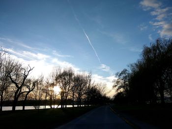 Silhouette trees by road against sky