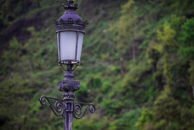 Close-up of street light against trees