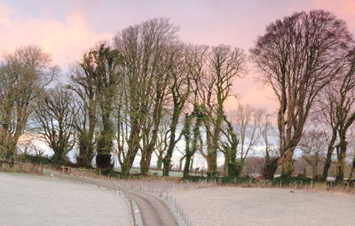 Road passing through landscape