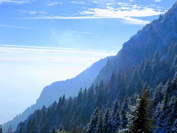 Scenic view of trees and mountains against sky