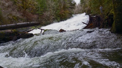 Stream flowing through rocks in forest