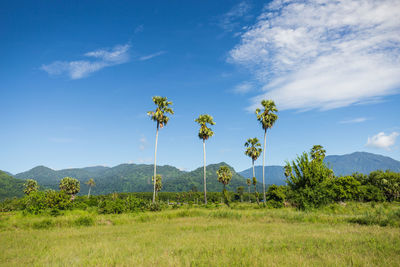 Scenic view of grassy with mountains in background