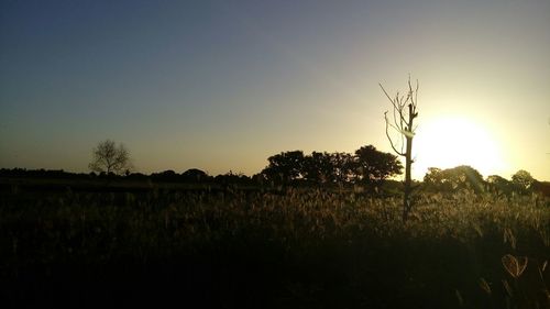 Scenic view of field against sky at sunset