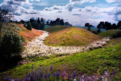 Scenic view of field against cloudy sky