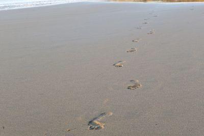 High angle view of footprints on sand at beach