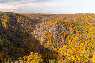 Scenic view of autumn trees against sky