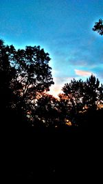 Silhouette of trees against sky at sunset