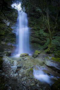 Scenic view of waterfall in forest