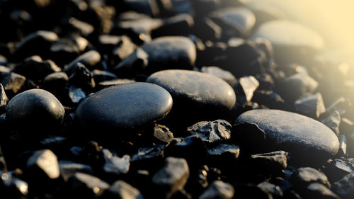 Close-up of stones