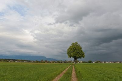 Scenic view of field against cloudy sky