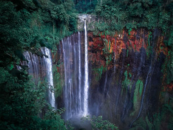 Scenic view of waterfall in forest