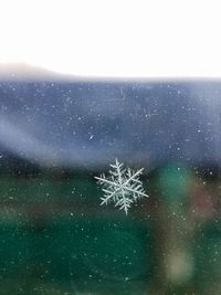 View of silhouette tree on glass window