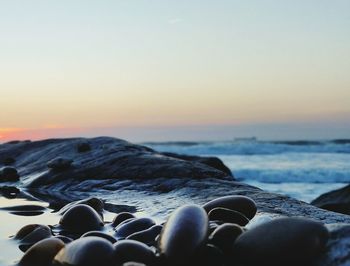 Scenic view of sea against clear sky