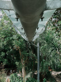 Panoramic view of trees and plants