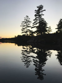 Silhouette tree by lake against sky during sunset