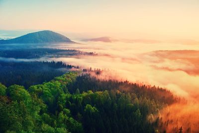 Misty daybreak in a beautiful hills. peaks of hills are sticking out from foggy background, 