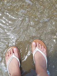 Low section of woman standing in water