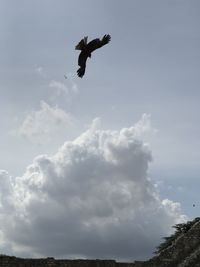 Low angle view of eagle flying in sky