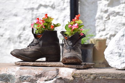 Flowers in shoes on retaining wall