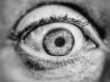 Extreme close up of human eye