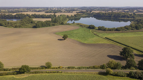 High angle view of agricultural field