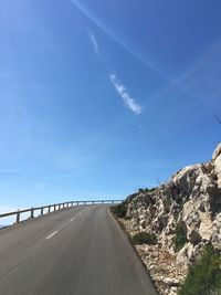 Road along trees