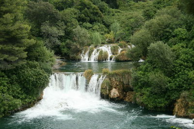 Scenic view of waterfall in forest