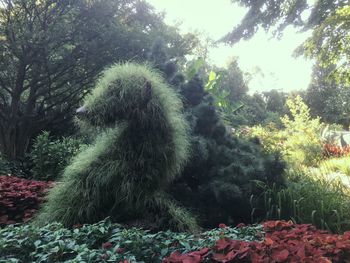 Plants growing on tree