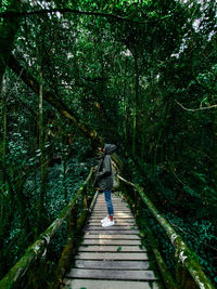 Side view of woman standing on footbridge in forest