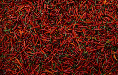 Full frame shot of red chili pepper