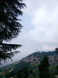 Low angle view of trees and buildings against sky