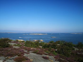 Scenic view of sea against clear blue sky