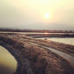 Scenic view of landscape at sunset