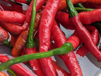 Close-up of red chili peppers