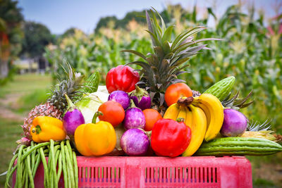 Close-up of multi colored fruits