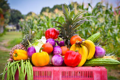 Various vegetables and fruits on crate at farm