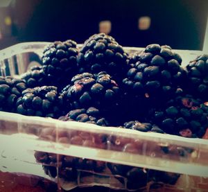 Close-up of food